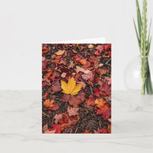 Herbstlaub dankeskarte