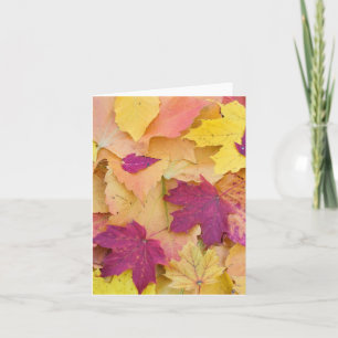 Herbstlaub Design Karte