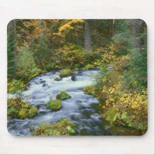 Herbstlaub & Douglasien-Grenze Roaring River Mousepad