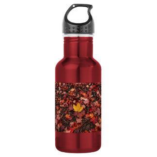 Herbstlaub edelstahlflasche