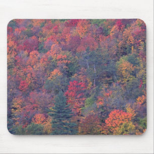 Herbstlaub eines Mischhartholzwaldes Mousepad