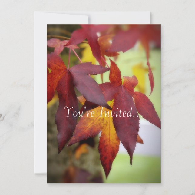 Herbstlaub-… Einladung (Vorderseite)