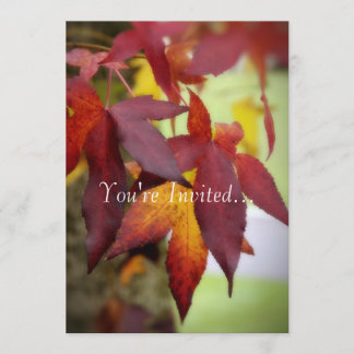 Herbstlaub-… Einladung