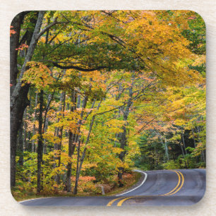 Herbstlaub entlang des Highway 41 Getränkeuntersetzer
