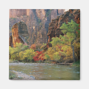 Herbstlaub entlang des Virgin River nahe dem Einga Magnet
