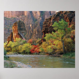 Herbstlaub entlang des Virgin River nahe dem Einga Poster