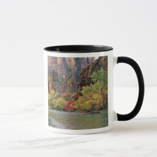 Herbstlaub entlang des Virgin River nahe dem Einga Tasse