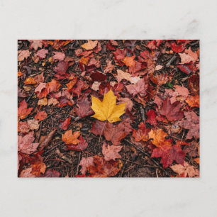 Herbstlaub feiertagspostkarte