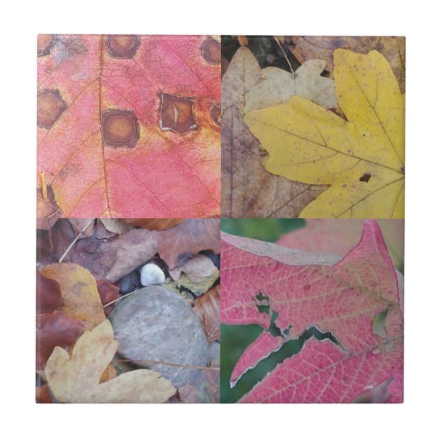 Herbstlaub Fliese (Vorderseite)