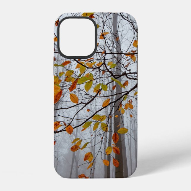 Herbstlaub gefallener Wald Blatt iPhone Hülle (Rückseite)
