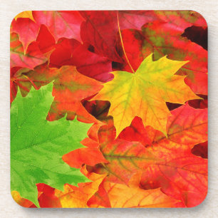 Herbstlaub Getränkeuntersetzer