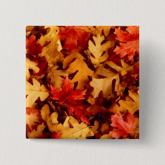 Herbstlaub - Herbstfarbe Button (Vorderseite)