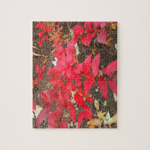 Herbstlaub Herbstfarben Foto Puzzle