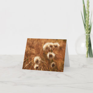 Herbstlaub im Rockies notecard Karte