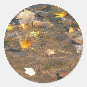 Herbstlaub im Teichwasser Naturfotografie Runder Aufkleber