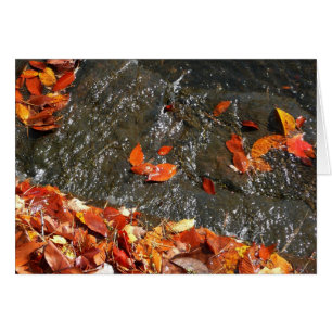 Herbstlaub im Wasserfall I Herbstfotografie