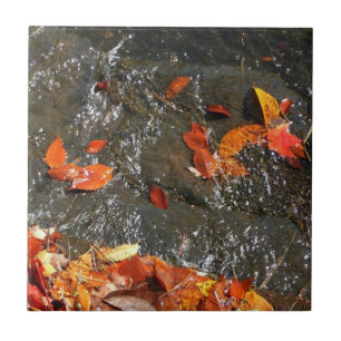 Herbstlaub im Wasserfall I Herbstfotografie Fliese