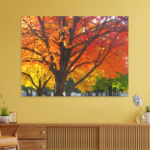 Herbstlaub in Gelb und Orange Foto Leinwanddruck