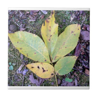 Herbstlaub Keramik Tile Fliese