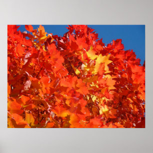 Herbstlaub Kunst Drucke Rot Orange Gelb Natur