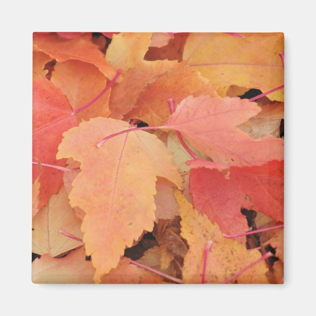 Herbstlaub Magnet (Vorne)