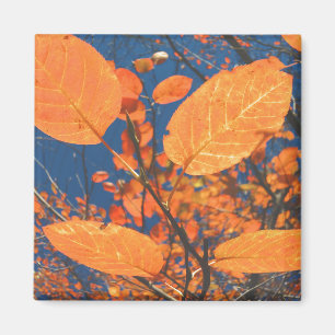 Herbstlaub Magnet