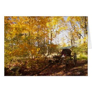 Herbstlaub mit Lastwagen