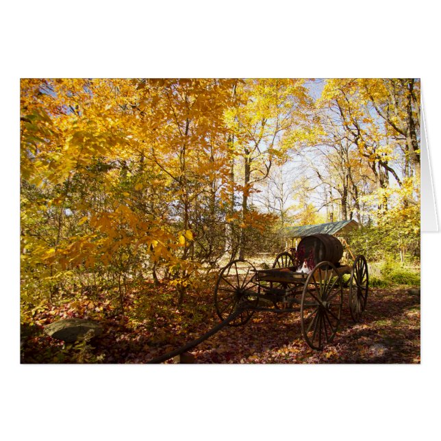 Herbstlaub mit Lastwagen (Vorderseite (Horizontal))