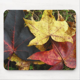 Herbstlaub Mousepad