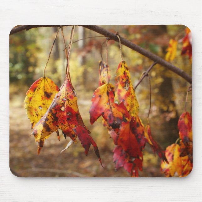 Herbstlaub Mousepad (Vorne)