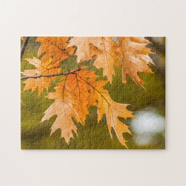 Herbstlaub nah-up-Foto-Puzzle Puzzle (Horizontal)