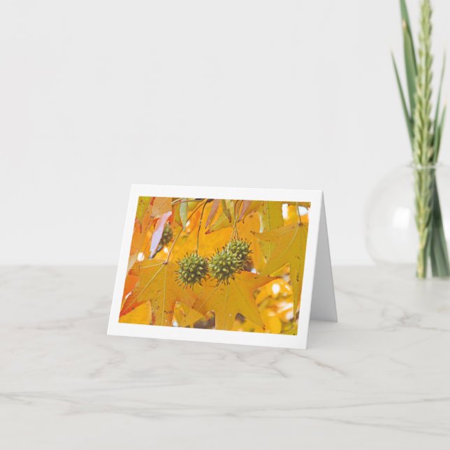 "HERBSTLAUB" NOTECARD (FOTOG) KARTE (Vorderseite)