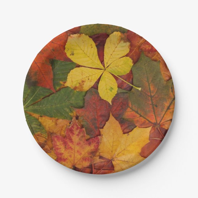 Herbstlaub Paper Teller (Vorderseite)