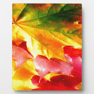 Herbstlaub Personalisieren sie gelb, rot, grün, Fotoplatte