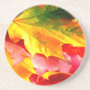 Herbstlaub Personalisieren sie gelb, rot, grün, Getränkeuntersetzer