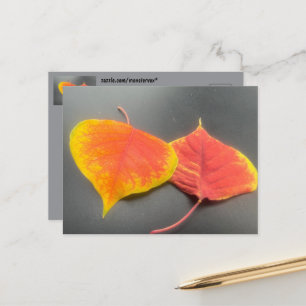 Herbstlaub Postkarte