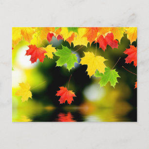 Herbstlaub Postkarte