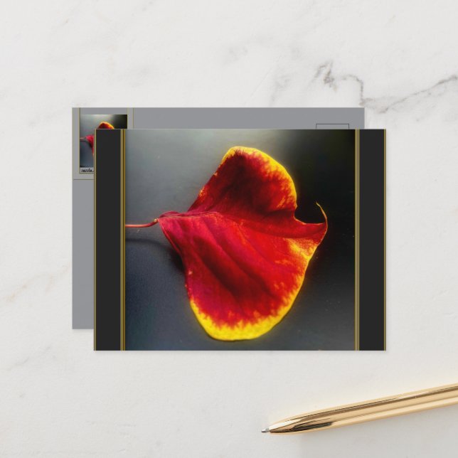 Herbstlaub Postkarte (Vorderseite/Rückseite Beispiel)