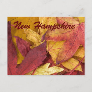 Herbstlaub-Postkarte aus New Hampshire Postkarte