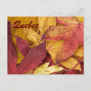Herbstlaub Postkarte aus Quebec