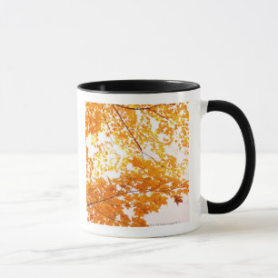 Herbstlaub-Reflexion Tasse