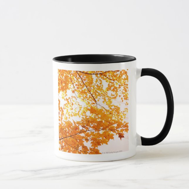 Herbstlaub-Reflexion Tasse (Rechts)