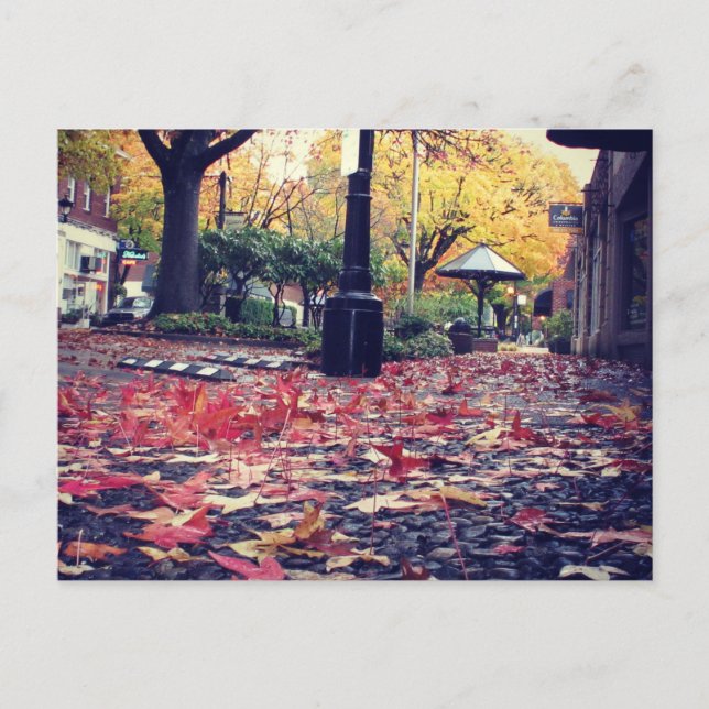 Herbstlaub Sidewalk View Postkarte (Vorderseite)