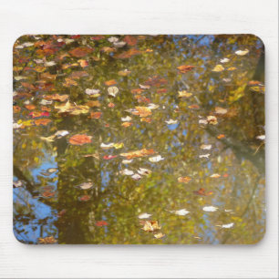 Herbstlaub und Bachreflexion im Greenbelt Mousepad