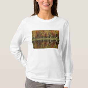 Herbstlaub und Birkenreflexionen; Hiawatha T-Shirt