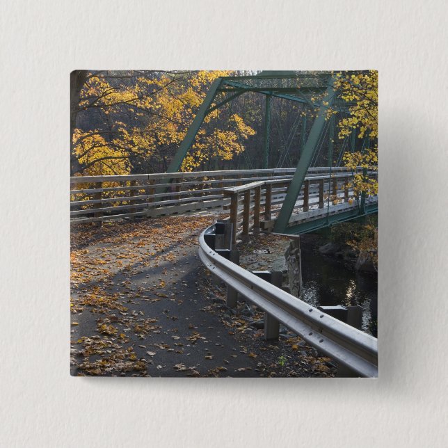 Herbstlaub und eine Brücke über den Millers Button (Vorderseite)