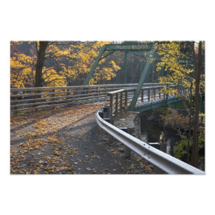 Herbstlaub und eine Brücke über den Millers Fotodruck