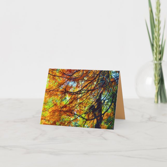 Herbstlaub und Lichtkarte Karte (Vorderseite)