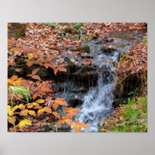 Herbstlaub und Wasserfall-Fotoplakat Poster