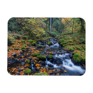 Herbstlaub verstreut entlang des Gorton Creek Magnet